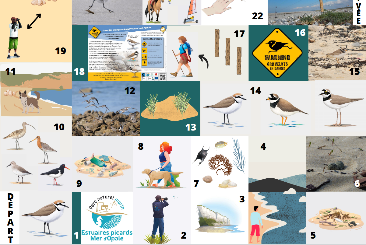 Jeu de l'oie - gravelots